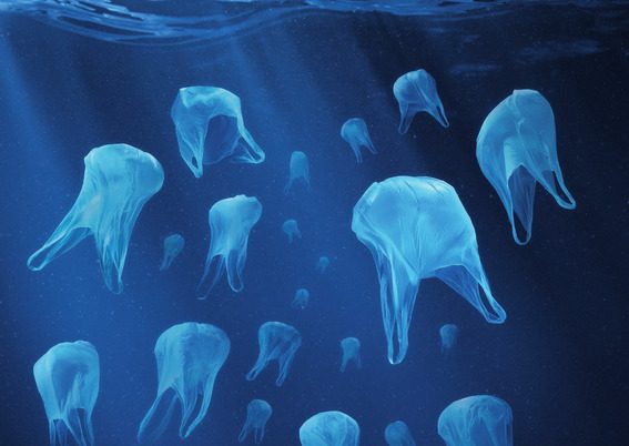 Exposition : L’océan et la menace plastique