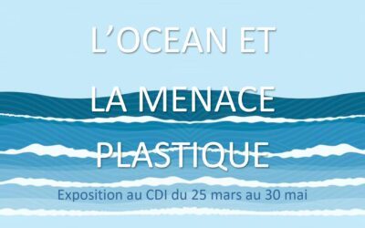 Exposition océan et la menace plastique